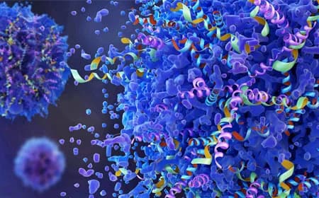 Peptide Technologies