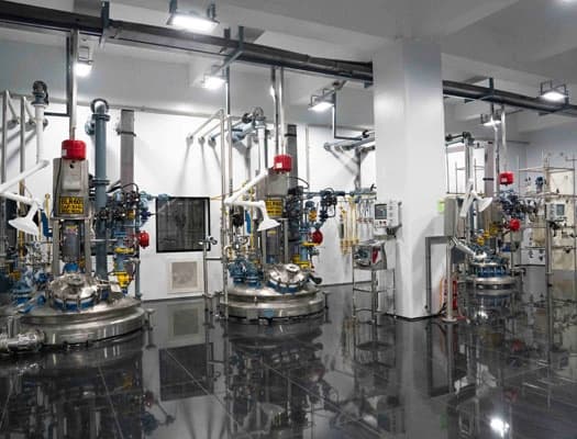 Liquid-Phase Peptide Synthesis (LPPS)