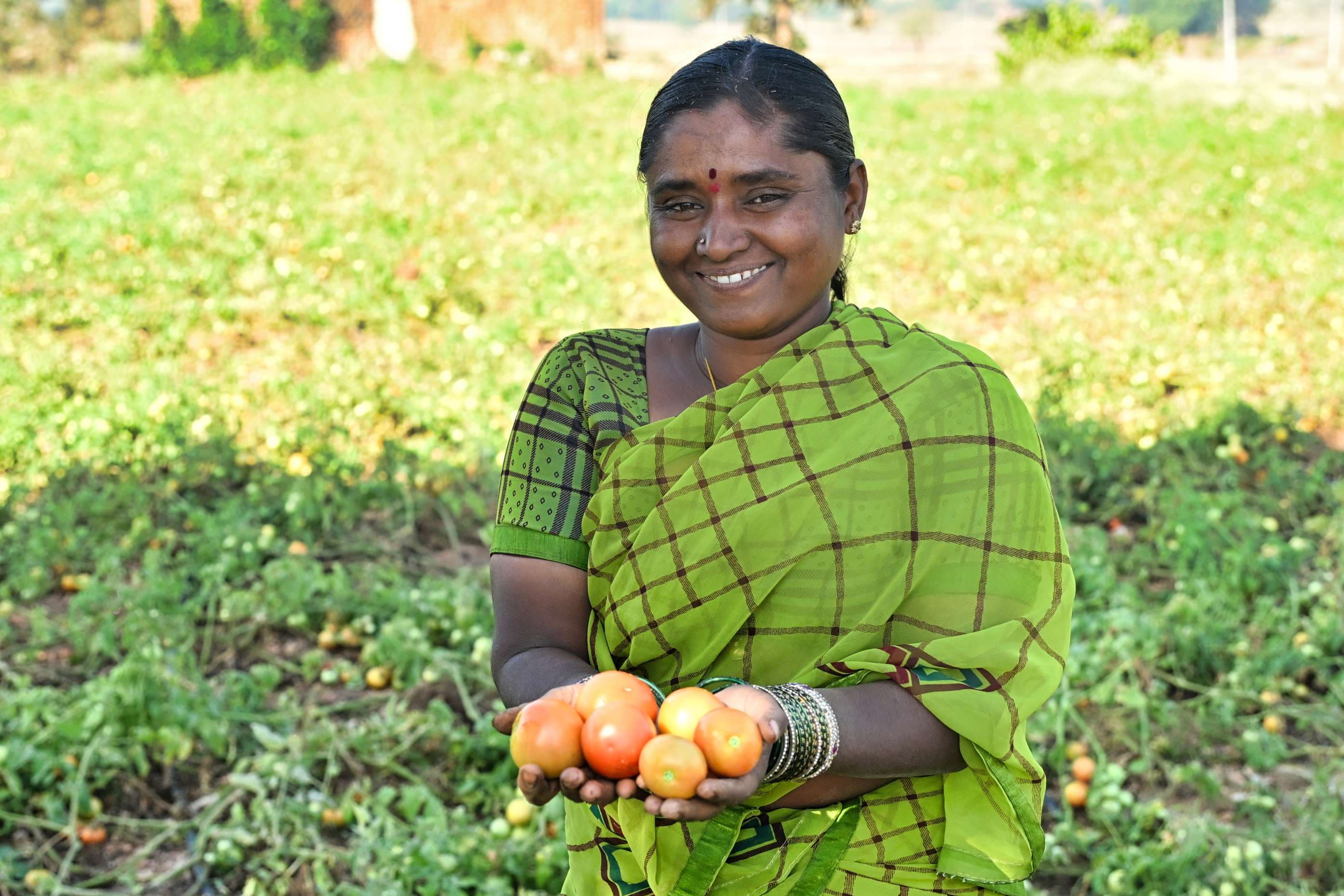Sustainable Livelihoods