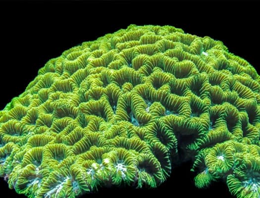 Biodiversity & Environmental Protection