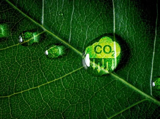 Climate Action & Decarbonization Test