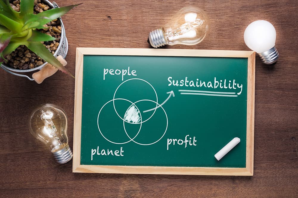 Chalkboard Venn diagram of people, planet and profit overlapping at "Sustainability", surrounded by light bulbs and a plant