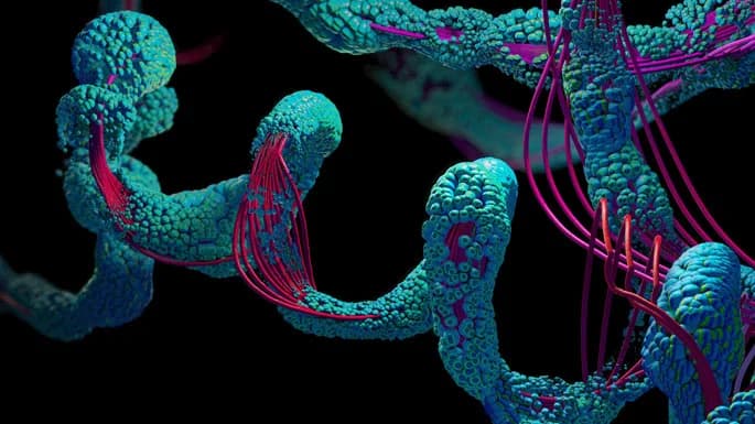 3D render of a teal peptide structure with magenta strands on a black background for a complex 25 amino acid peptide