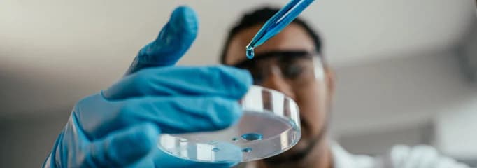 Analytical Method Development & Validation