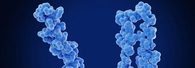 Impurity Profiling & Characterization
