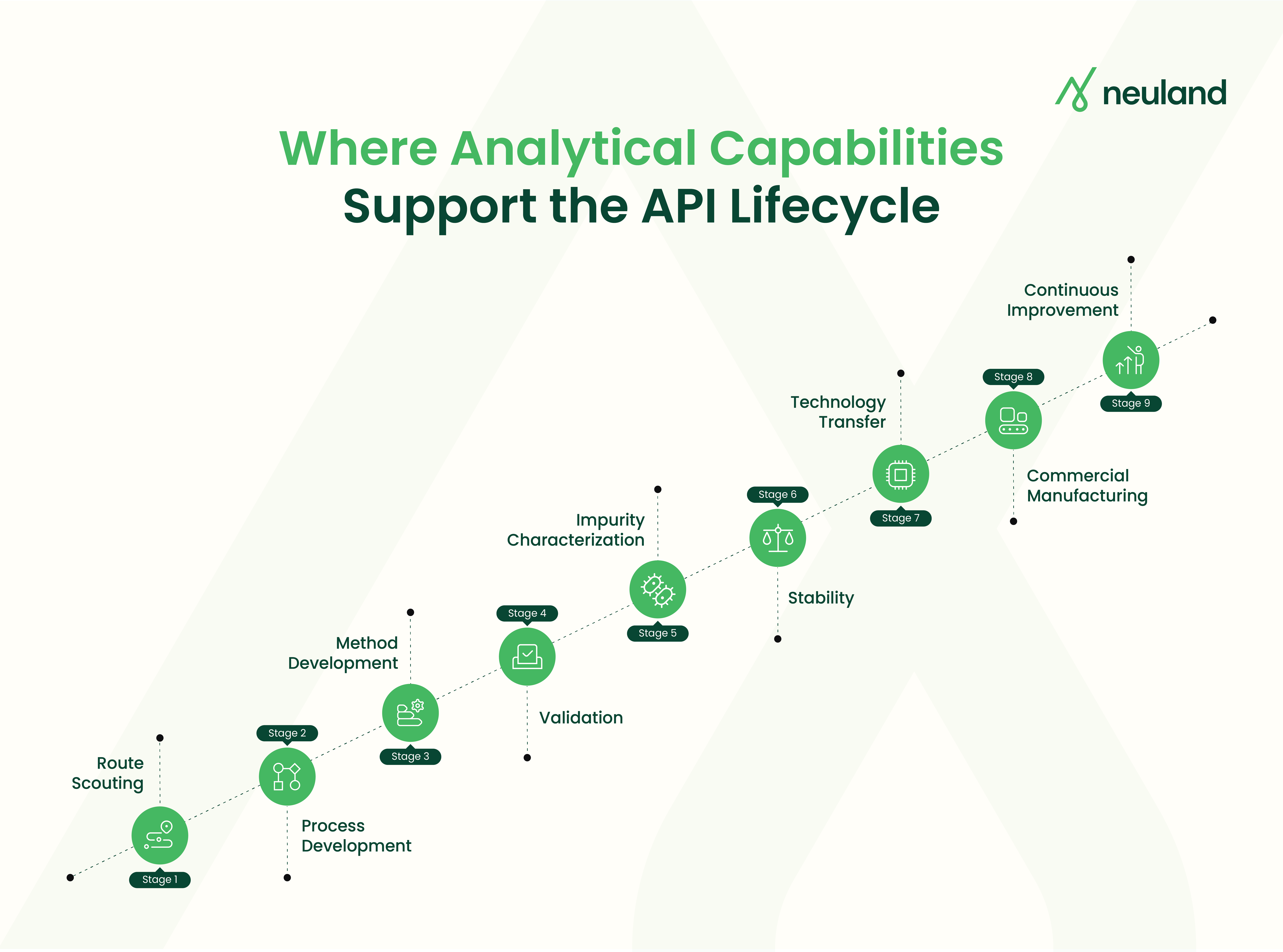 Analytical capabilities supporting each stage of the API lifecycle from route scouting to continuous improvement.