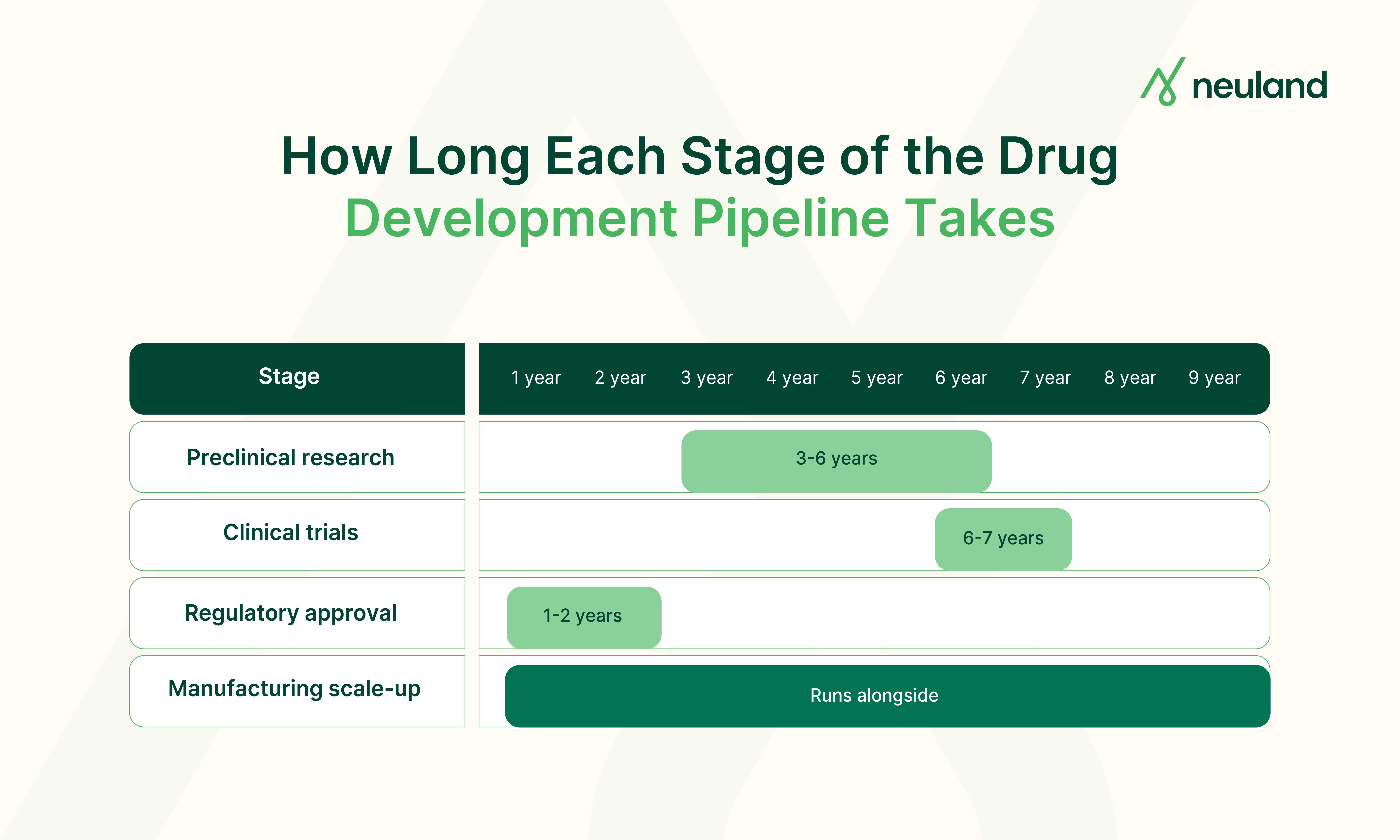 Timeline infographic showing duration of each stage in the drug development pipeline