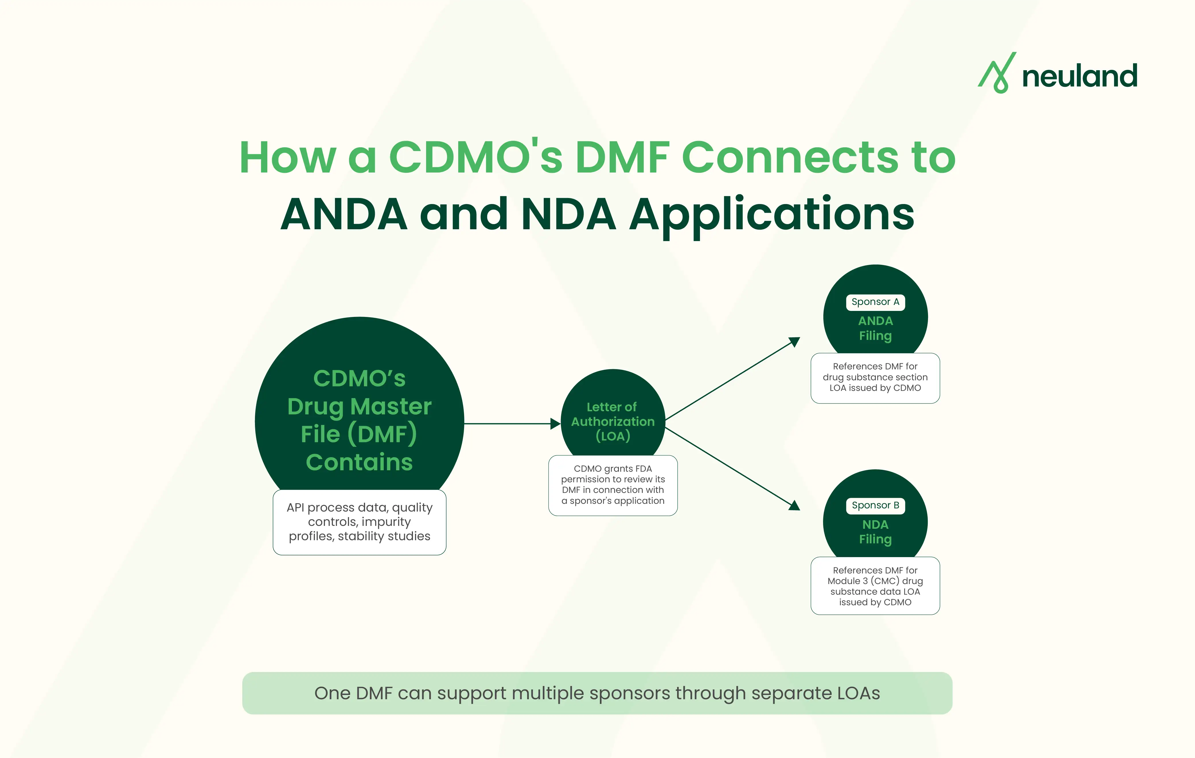 How a CDMO's DMF connects to ANDA and NDA applications through LOA.