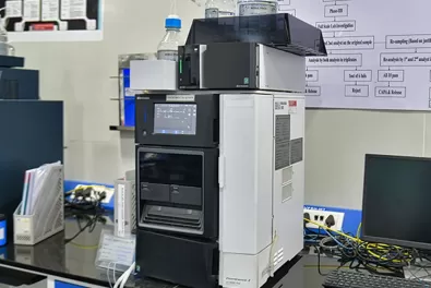 Large-Scale cGMP Manufacturing