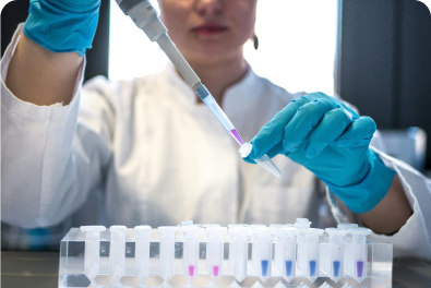 Large scale cGMP Manufacturing