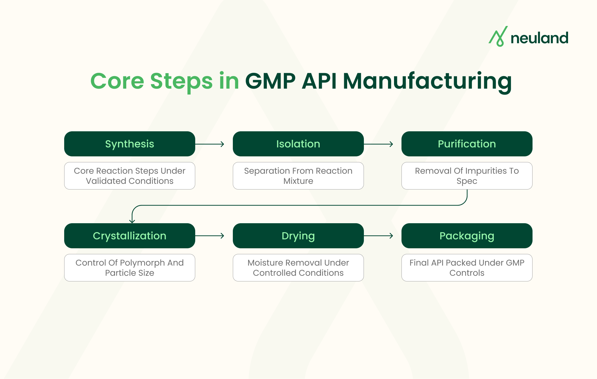 6 core steps in GMP API manufacturing from synthesis through packaging.