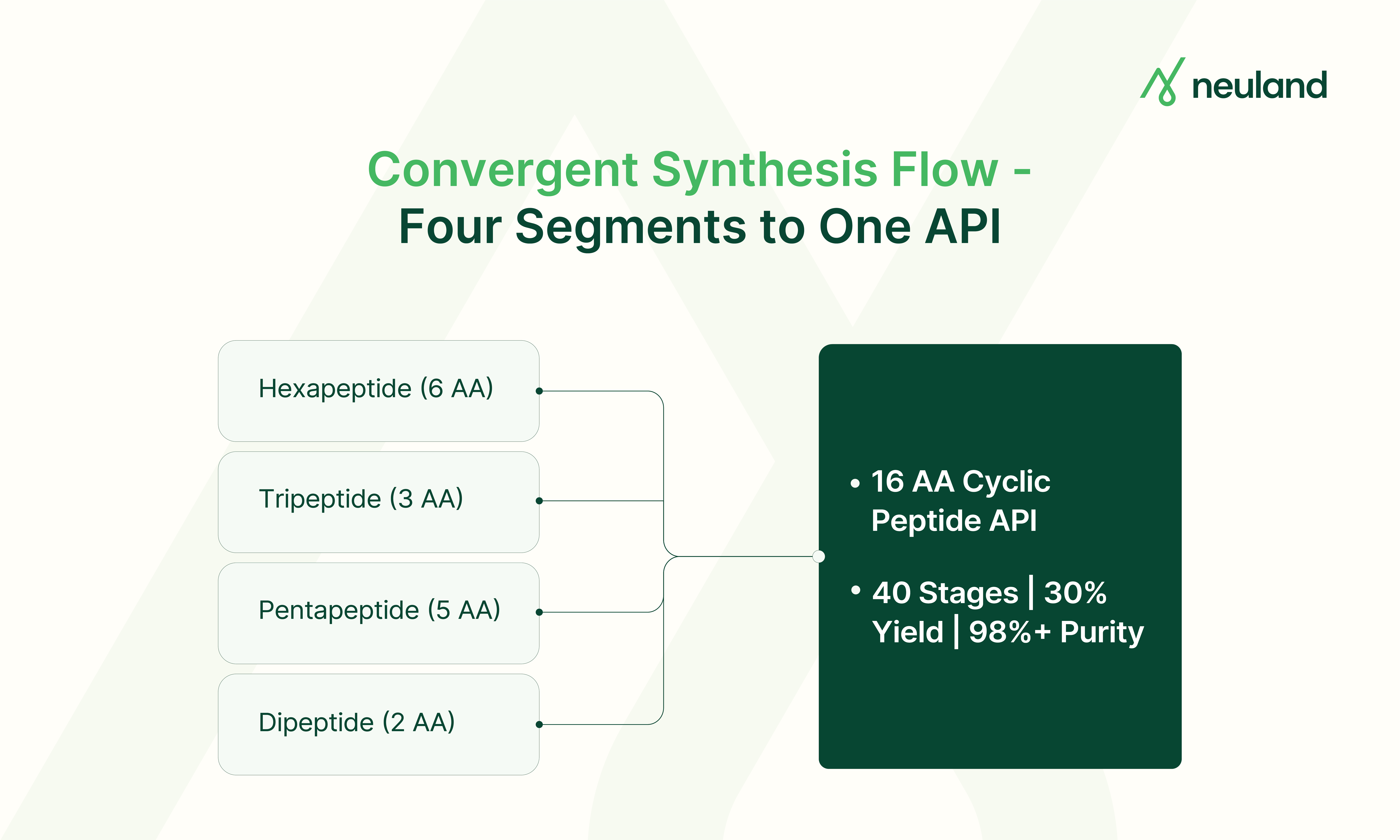 Four peptide segments merging through a 40-stage liquid phase process into the final 16 amino acid cyclic peptide API
