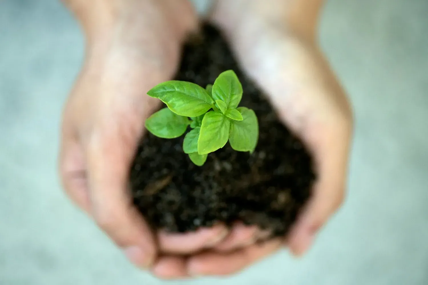 ESG in Pharma