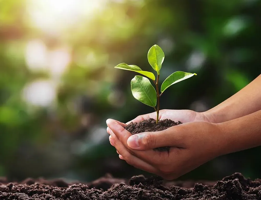 Sustainability