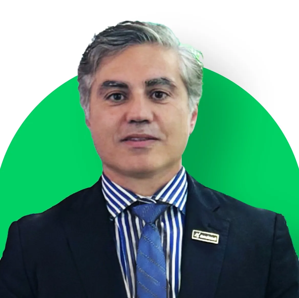 Nicola Guibellina