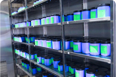 Large scale cGMP Manufacturing 