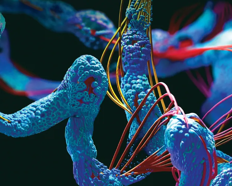 Phase II Peptide API