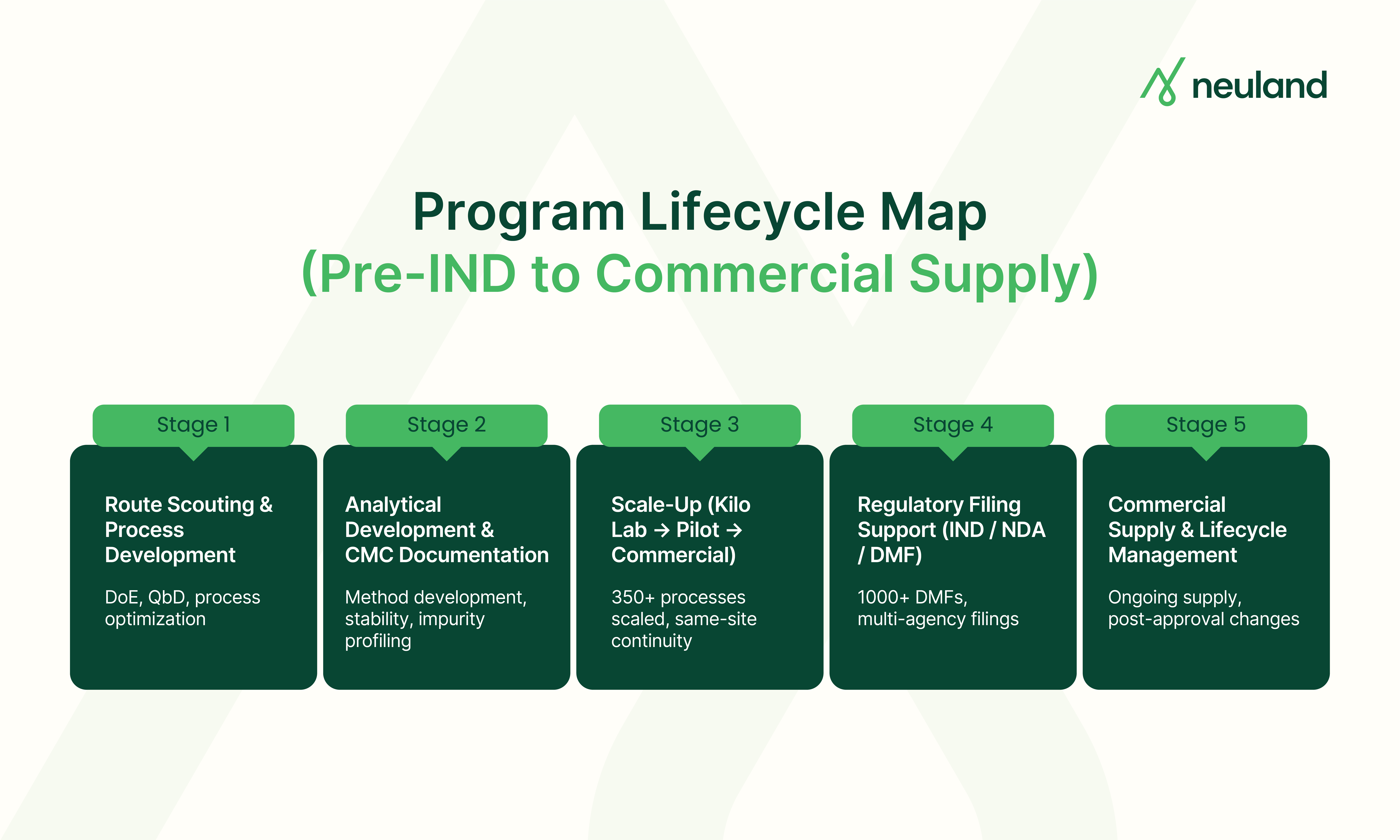 Neuland's complex API program lifecycle, from route scouting and process development.