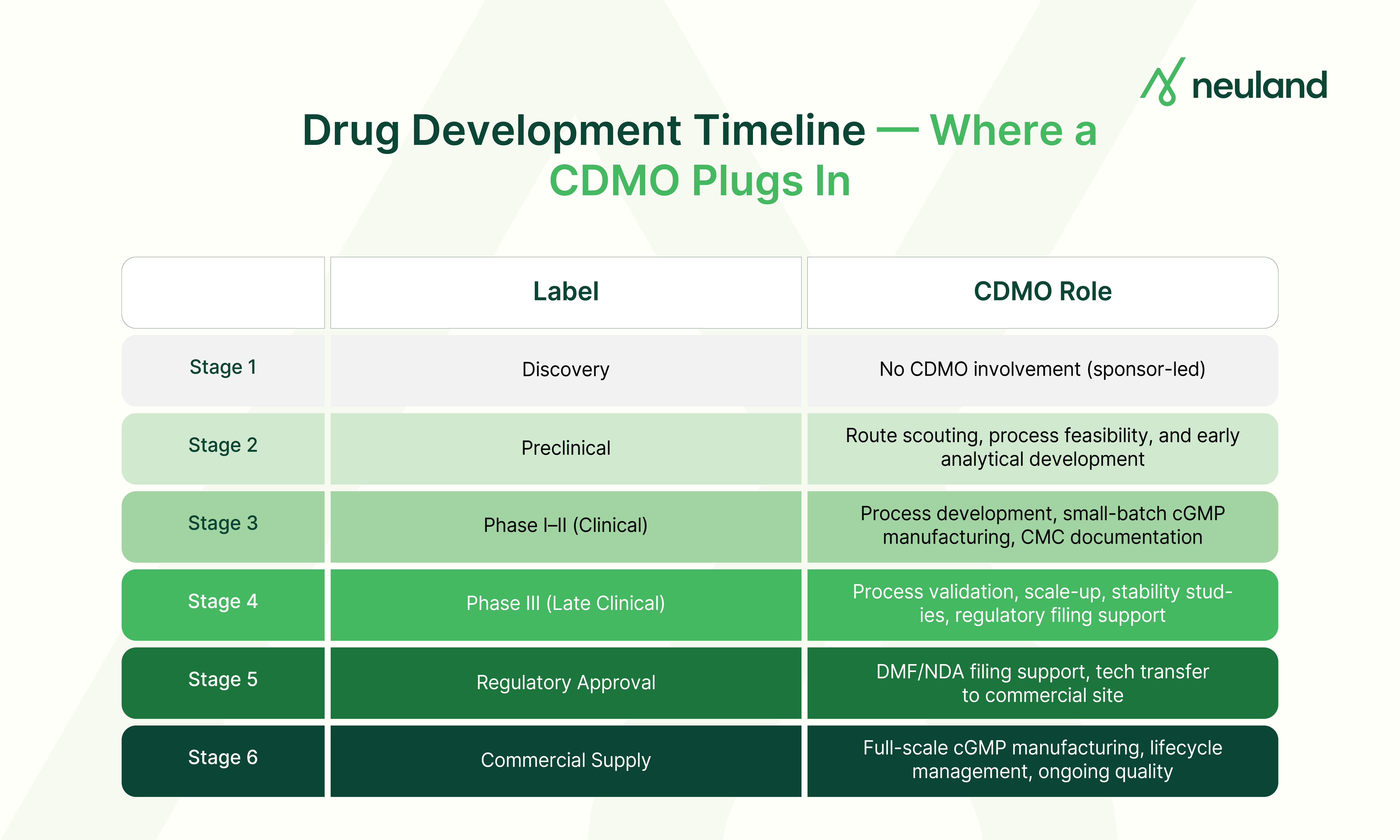 Drug development timeline from discovery through commercial supply, showing where CDMO services apply at each stage.