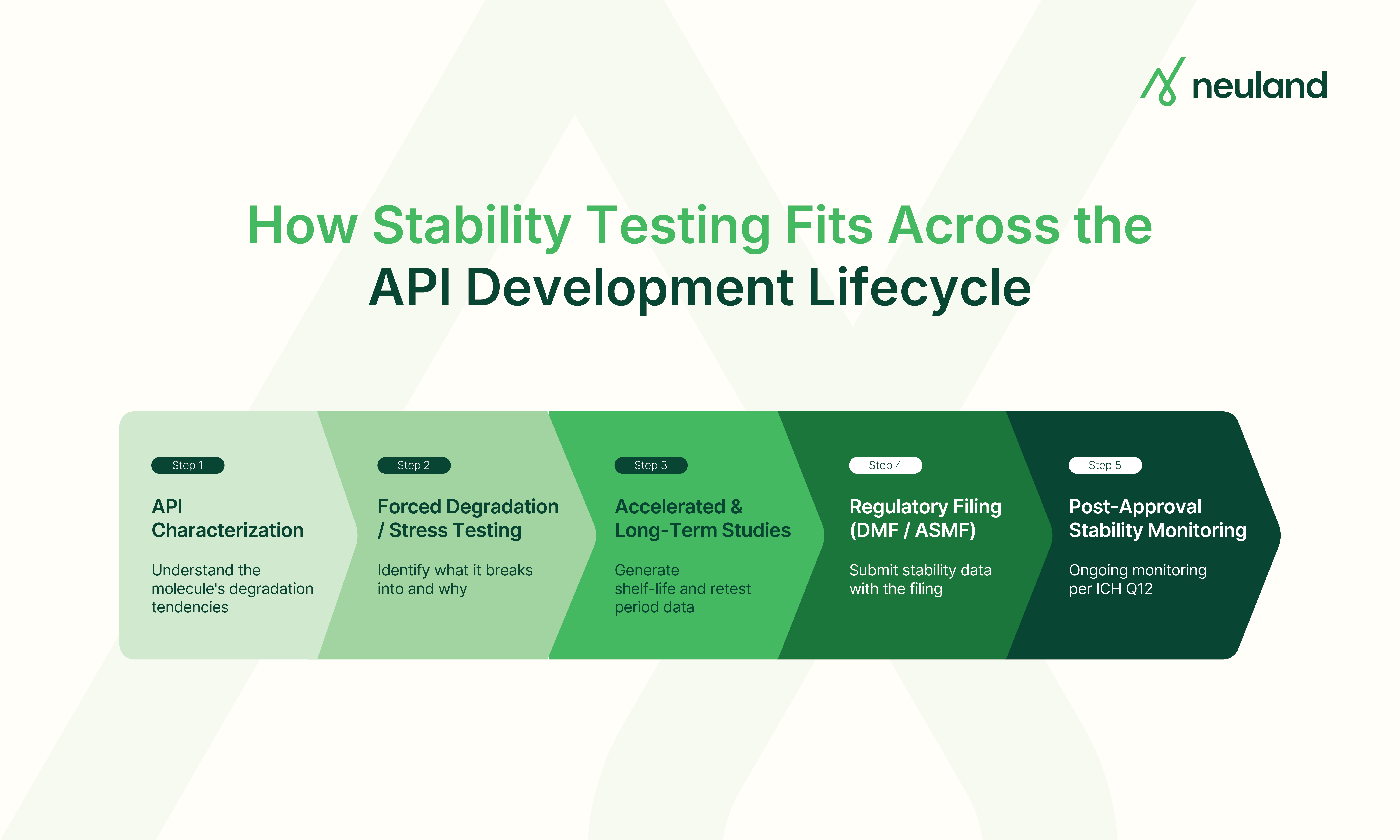 Five stages of stability testing across the API development lifecycle, from early characterization through post-approval monitoring.