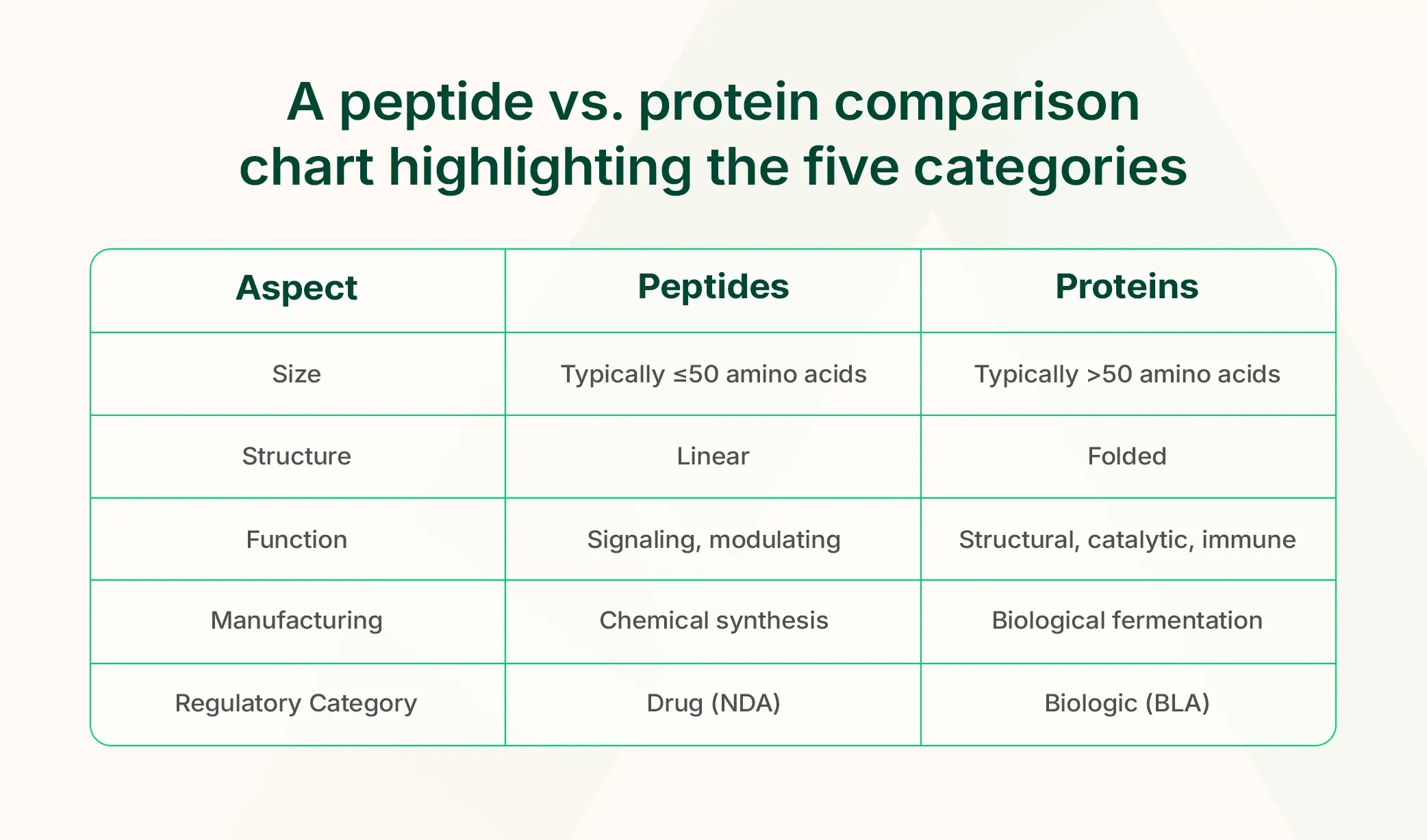 Peptide vs. Protein: 5 Key Differences Drug Makers Must Know