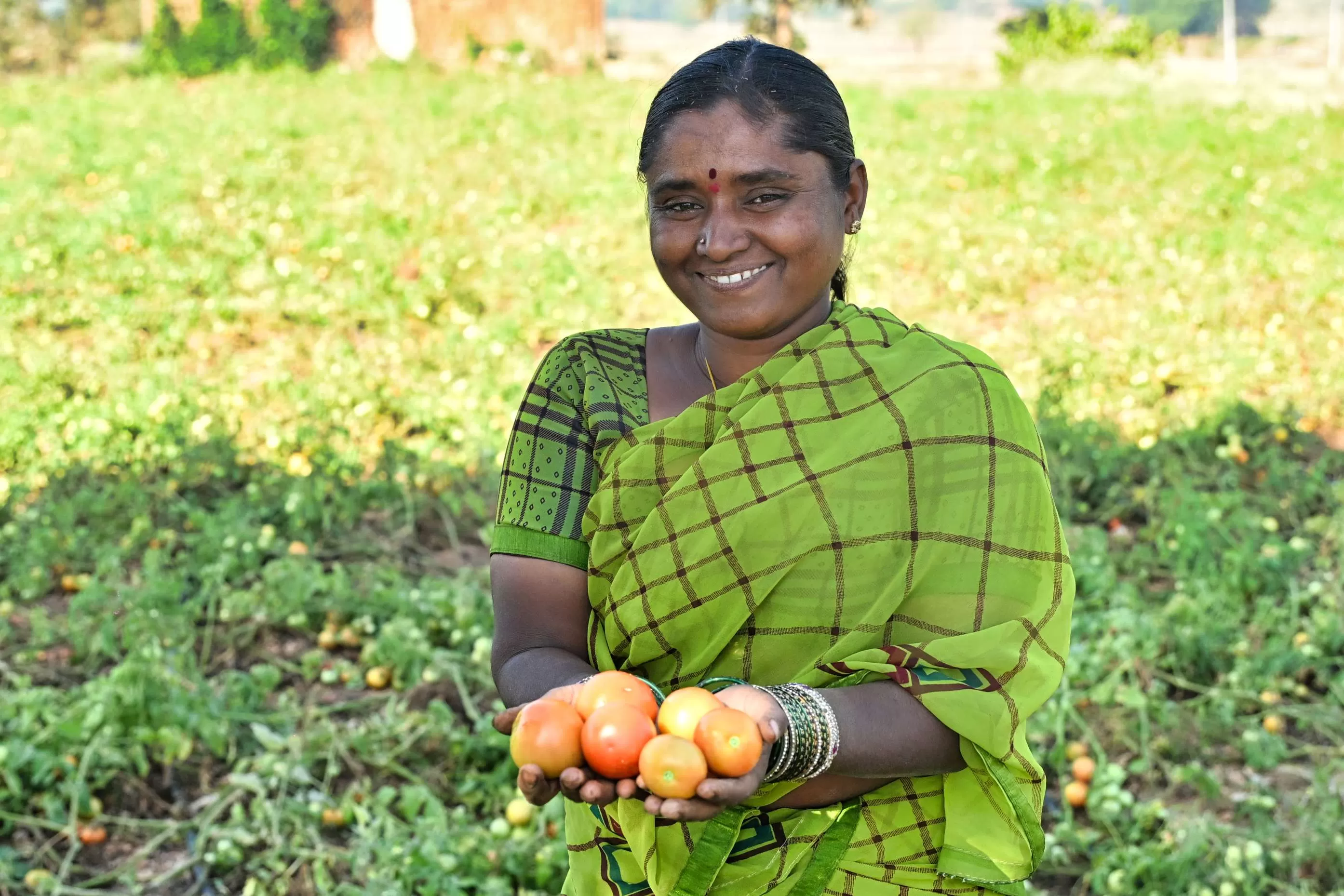 Sustainable Livelihoods