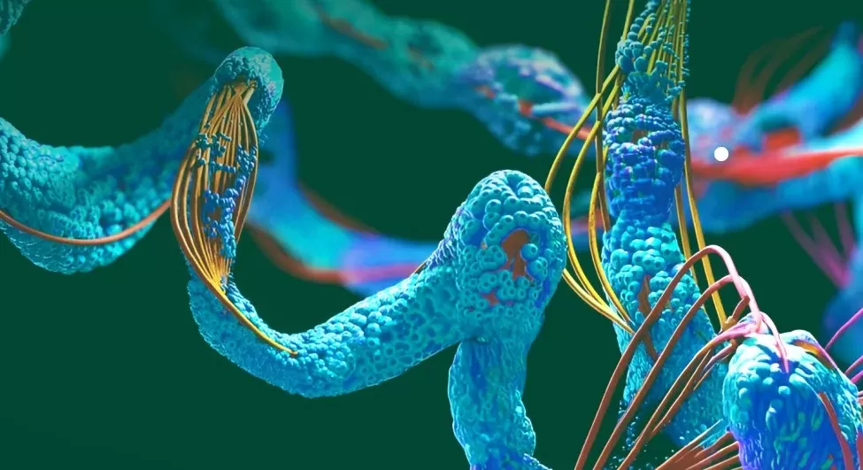 Custom Peptide Synthesis: Choosing the Right Method for Your Sequence